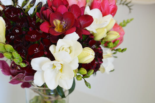 Freesias - bag of 20 bulbs
