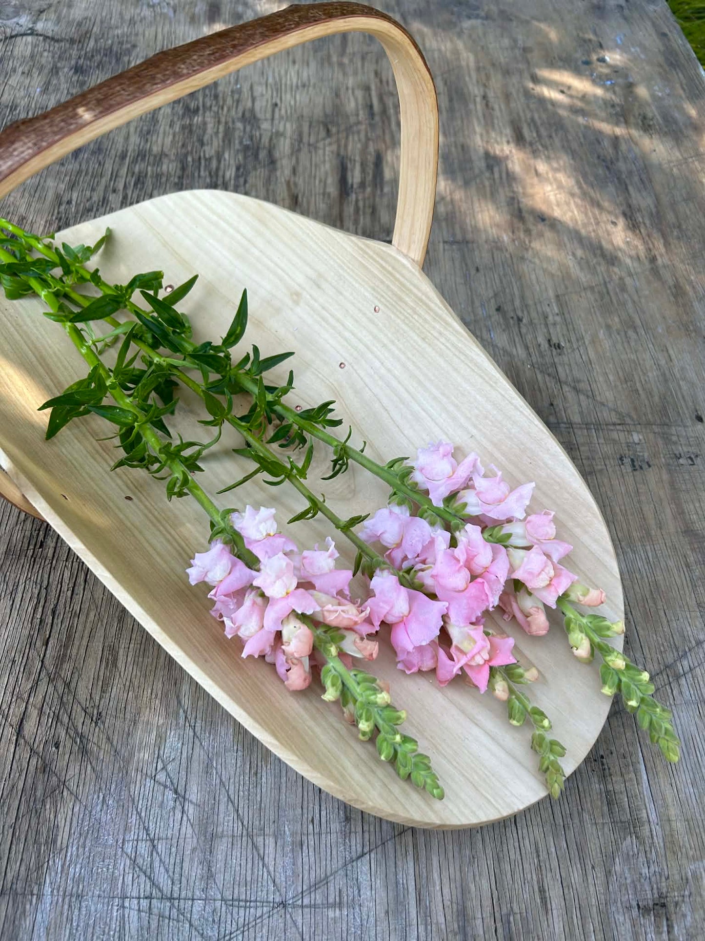 Pick 'n Mix  - Early Winter Planted Hardy Annuals (One last dispatch Tues 12th May - sorry, not available for south island or rural delivery)